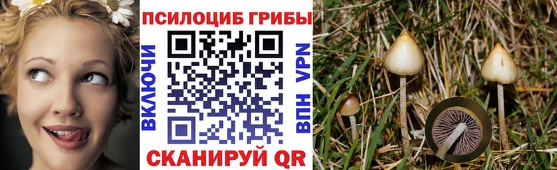 Псилоцибиновые грибы прущие грибы Берёзовка